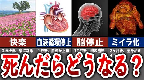 死ぬとき気持ちいい|死ぬ時に体と心に何が起きるのか 